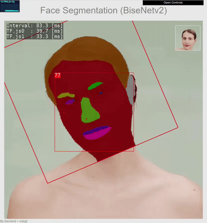 face_segmentation